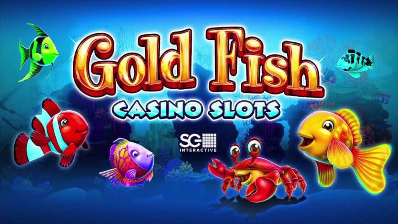 Eur 230 No Deposit Casino Bonus at Casimba Casino