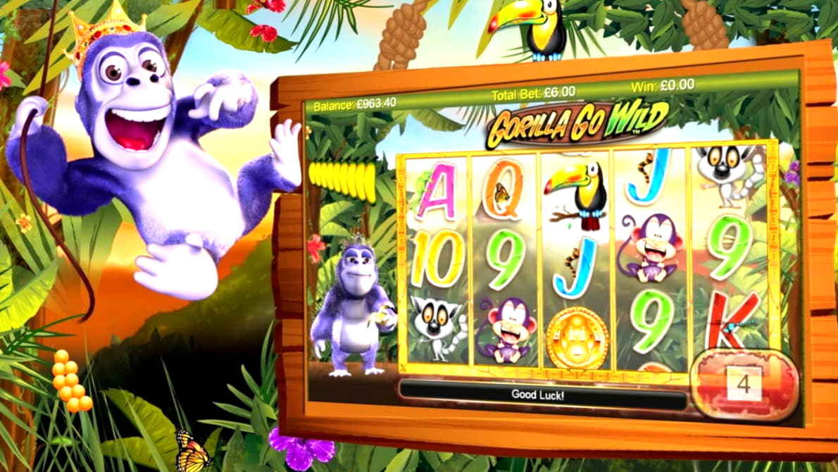 EUR 1785 NO DEPOSIT at Kaboo Casino