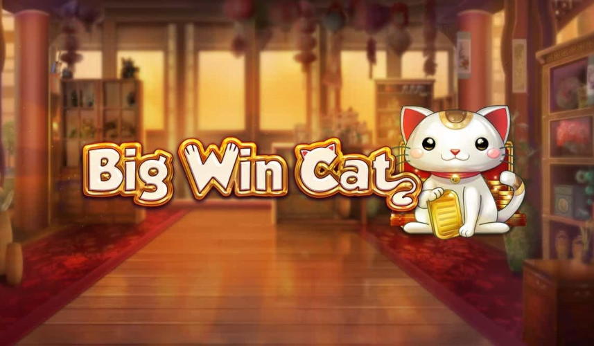 710% casino match bonus at Energy Casino