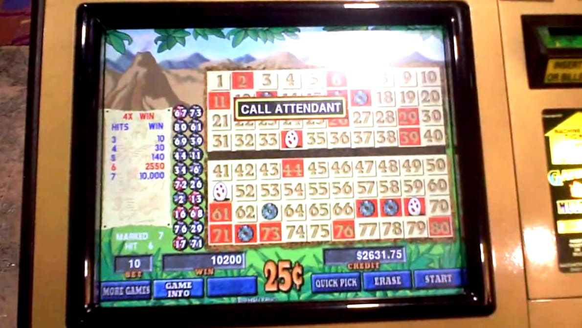 115 FREE Spins at YoYo Casino