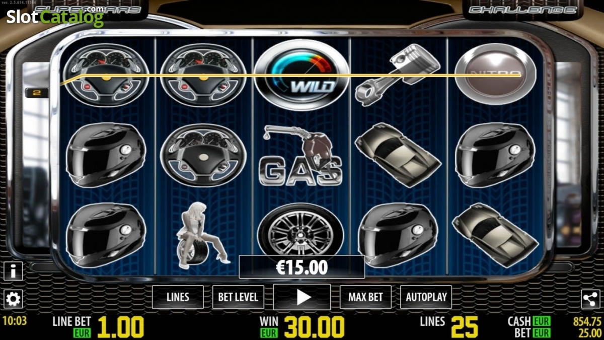 EURO 245 Casino Chip at Wish Maker Casino