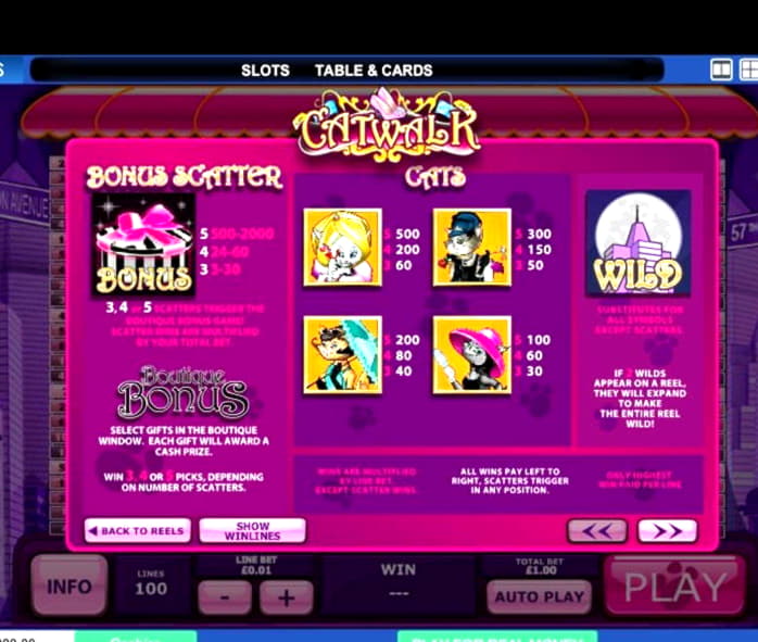 EURO 4260 No deposit bonus code at Spinrider Casino