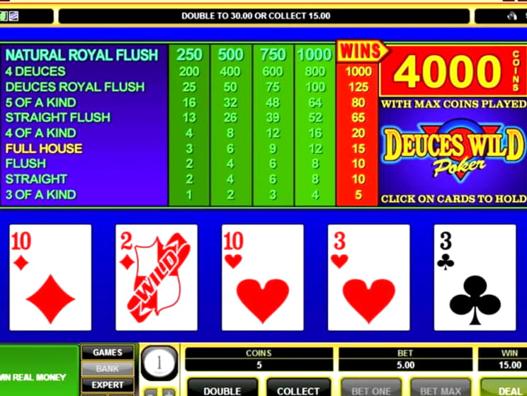 $505 no deposit bonus at Rizk Casino