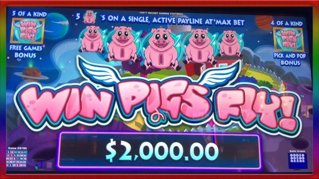 35 Loyal Free Spins! at Kaboo Casino