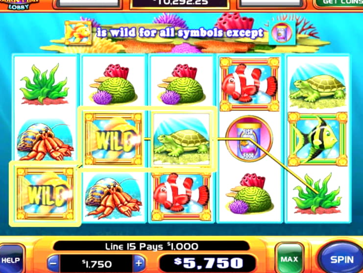 $3705 No deposit at Malina Casino