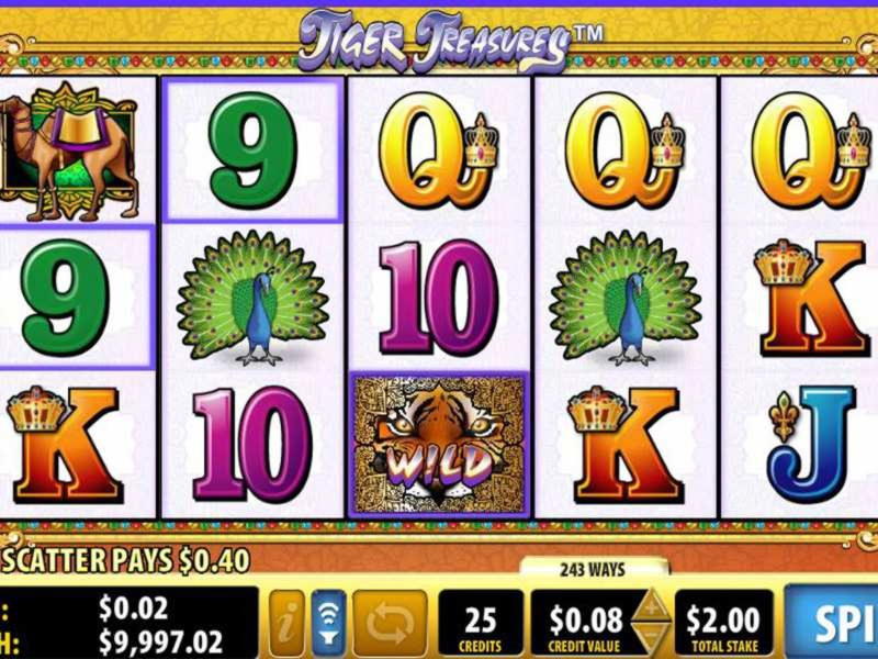 260 free spins casino at Rizk Casino