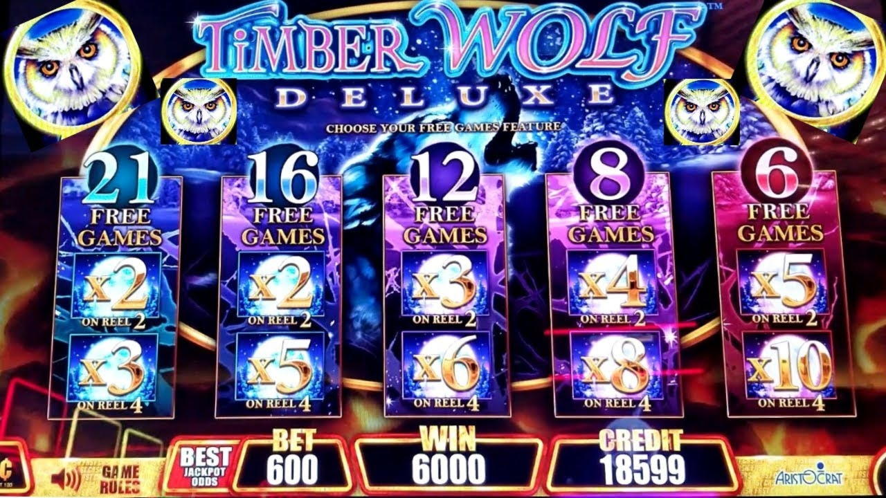 545% Casino match bonus at William Hill Casino