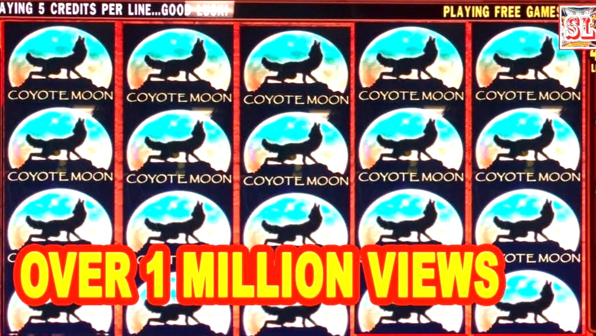 $115 Daily freeroll slot tournament at BGO Casino