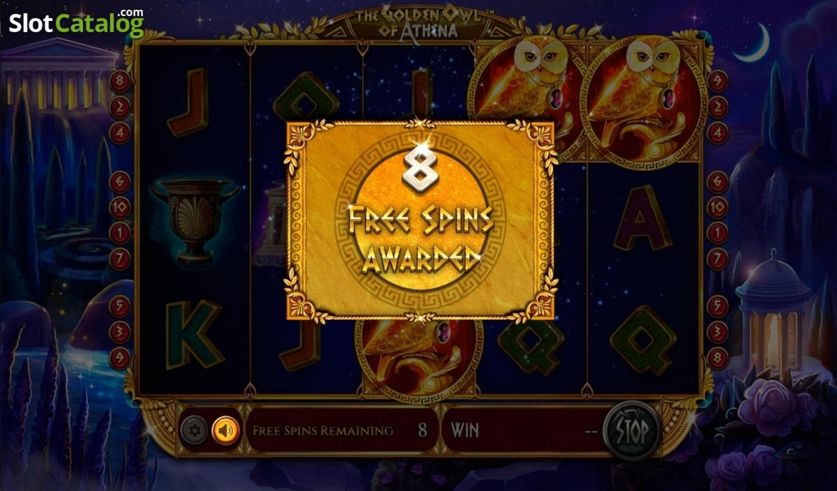 800% Match Bonus Casino at Big Cash Casino