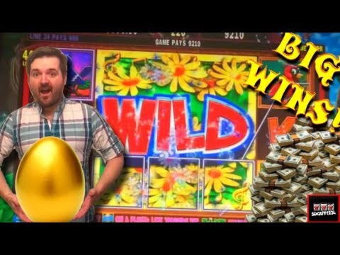 $480 NO DEPOSIT at Energy Casino