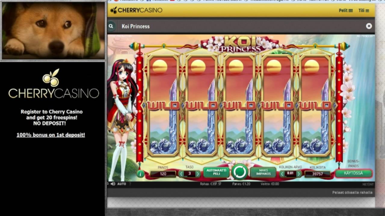 €4005 NO DEPOSIT BONUS at Slotty Dubai Casino