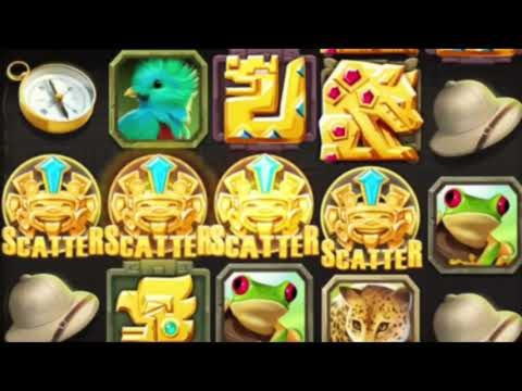 305% casino match bonus at Malina Casino