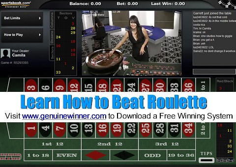 roulette,roulette wheel,roulette system,roulette strategy,roulette tips,beat roulette,win roulette,casino,gambling,online roulette